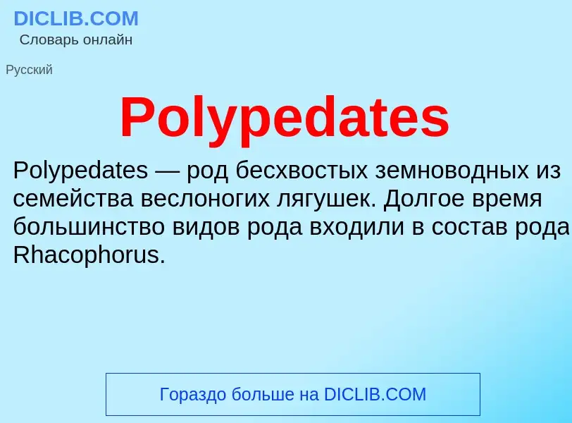 Τι είναι Polypedates - ορισμός