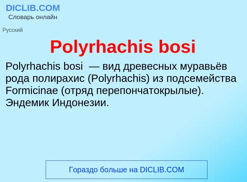 Τι είναι Polyrhachis bosi - ορισμός