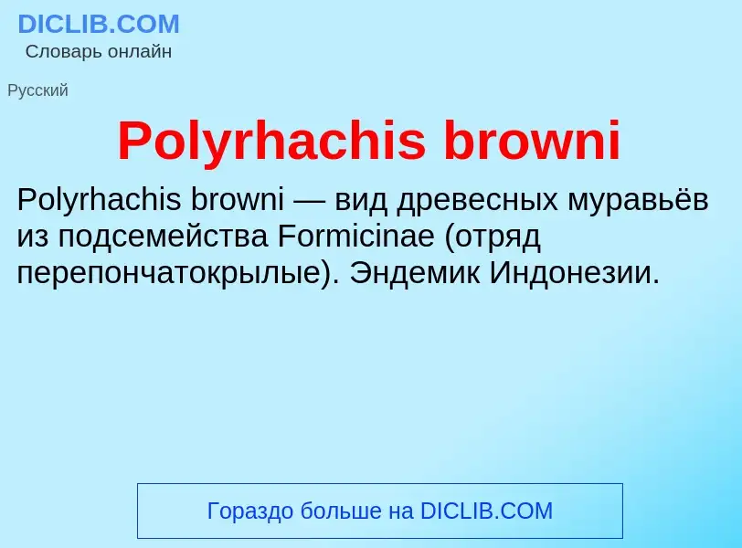 Τι είναι Polyrhachis browni - ορισμός