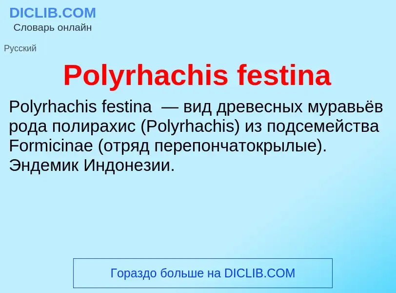 Τι είναι Polyrhachis festina - ορισμός