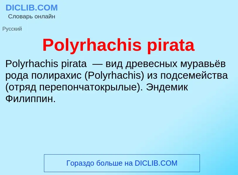 Τι είναι Polyrhachis pirata - ορισμός