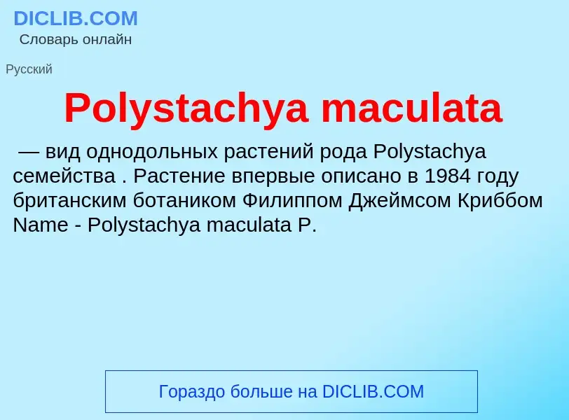 Τι είναι Polystachya maculata - ορισμός