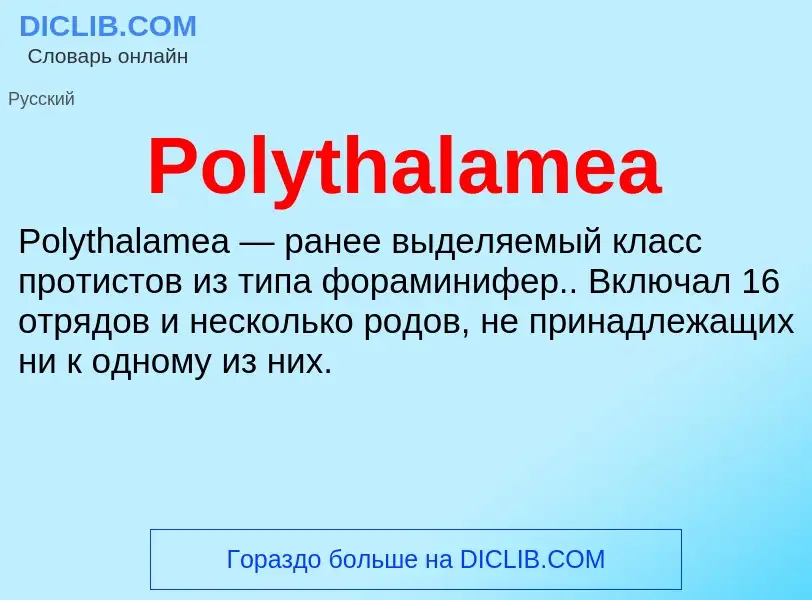 Τι είναι Polythalamea - ορισμός