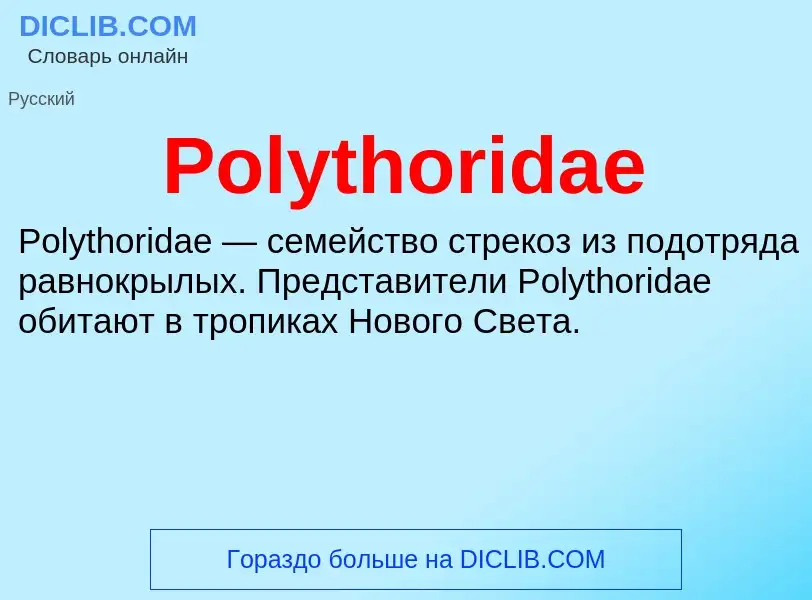 Τι είναι Polythoridae - ορισμός