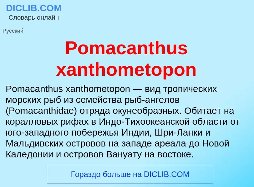 Τι είναι Pomacanthus xanthometopon - ορισμός