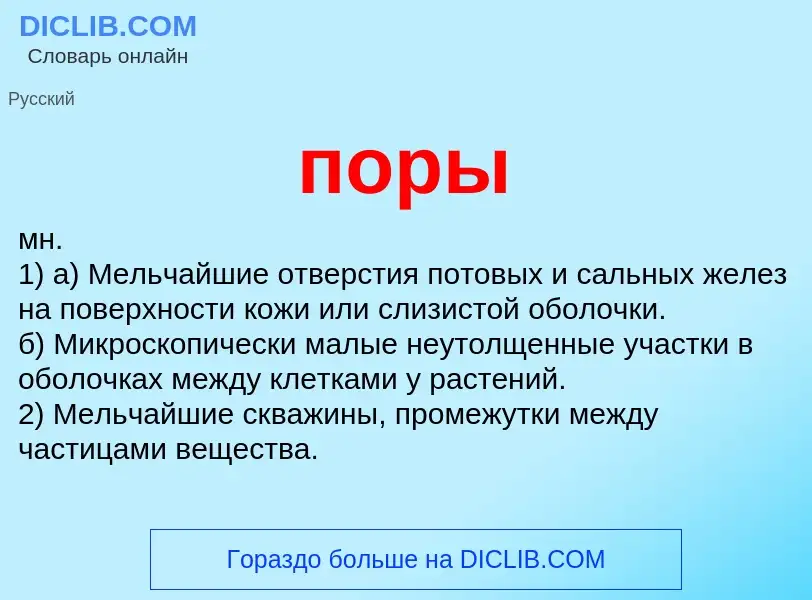 Wat is поры - definition