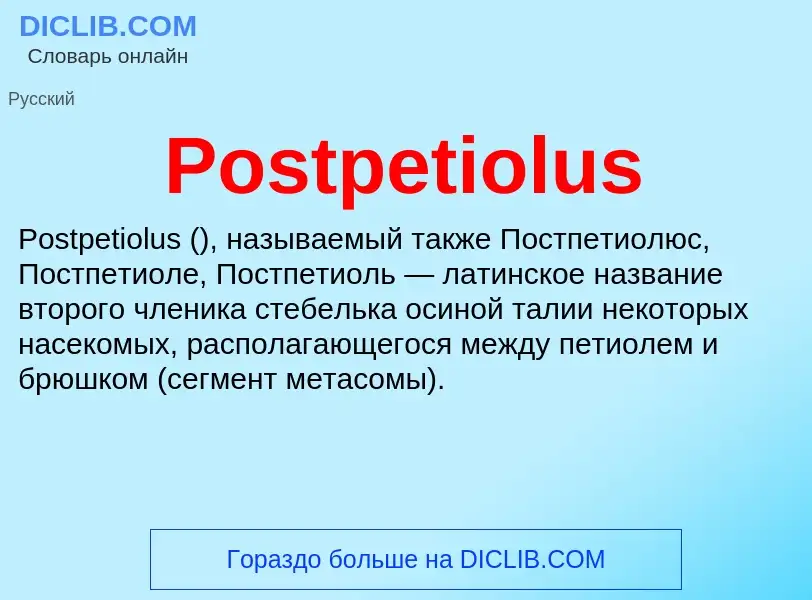 Что такое Postpetiolus - определение