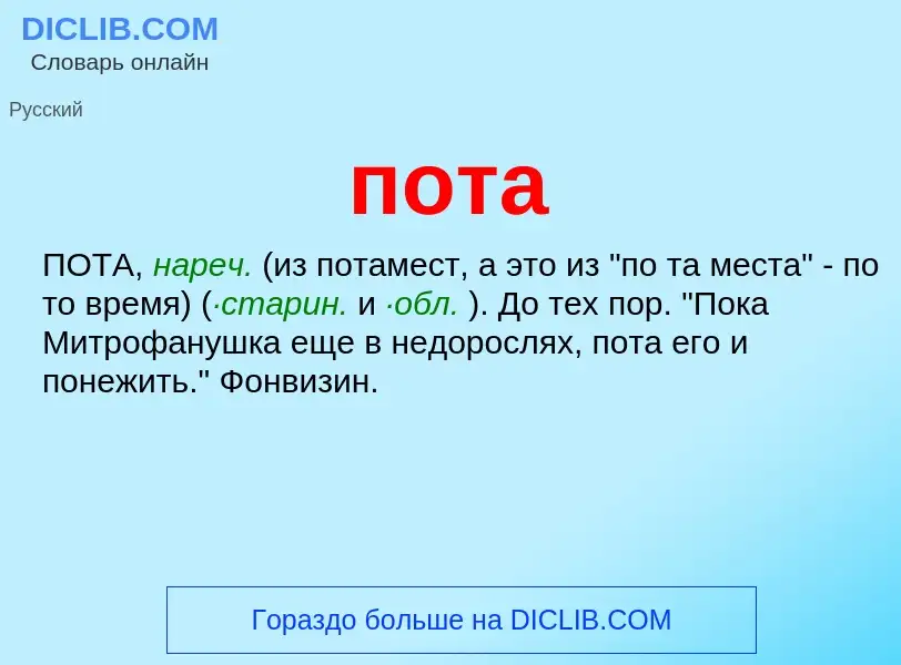 Что такое пота - определение