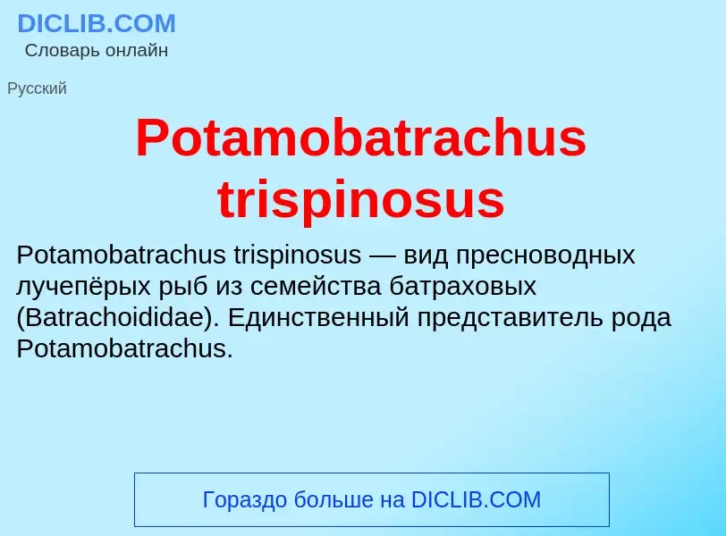 Что такое Potamobatrachus trispinosus - определение