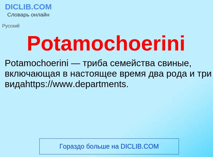 Что такое Potamochoerini - определение