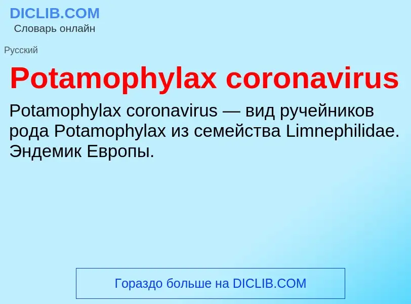 Τι είναι Potamophylax coronavirus - ορισμός