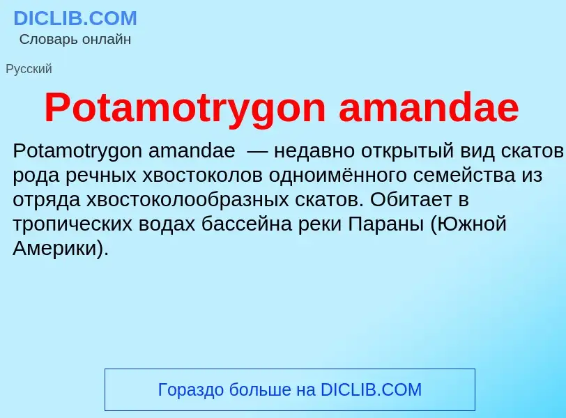 Что такое Potamotrygon amandae - определение