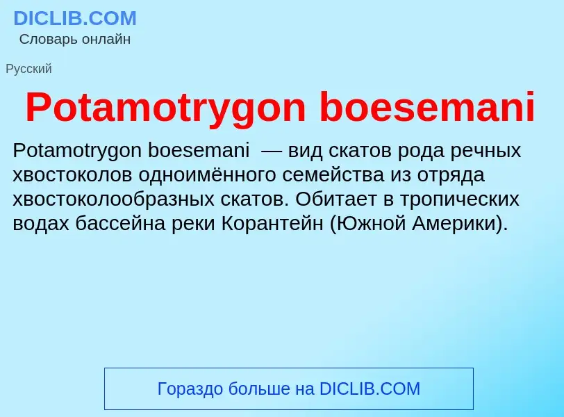 Что такое Potamotrygon boesemani - определение