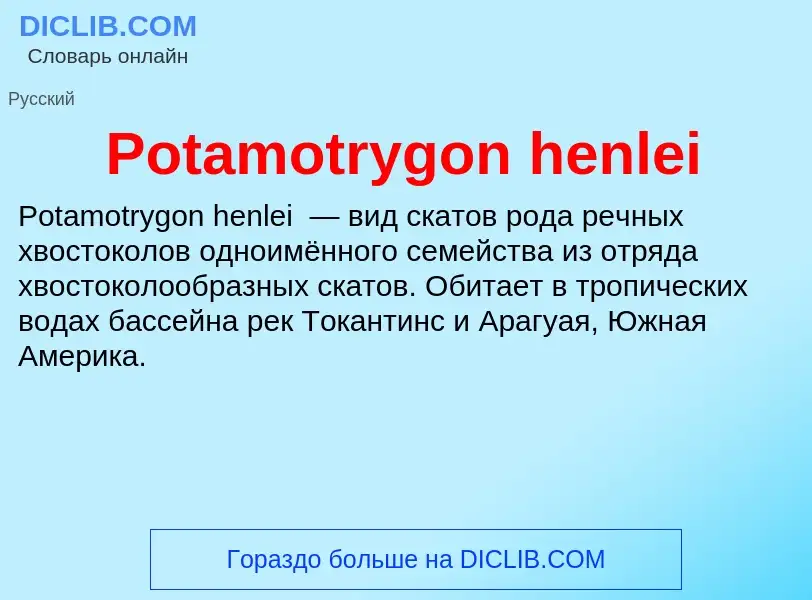 Что такое Potamotrygon henlei - определение