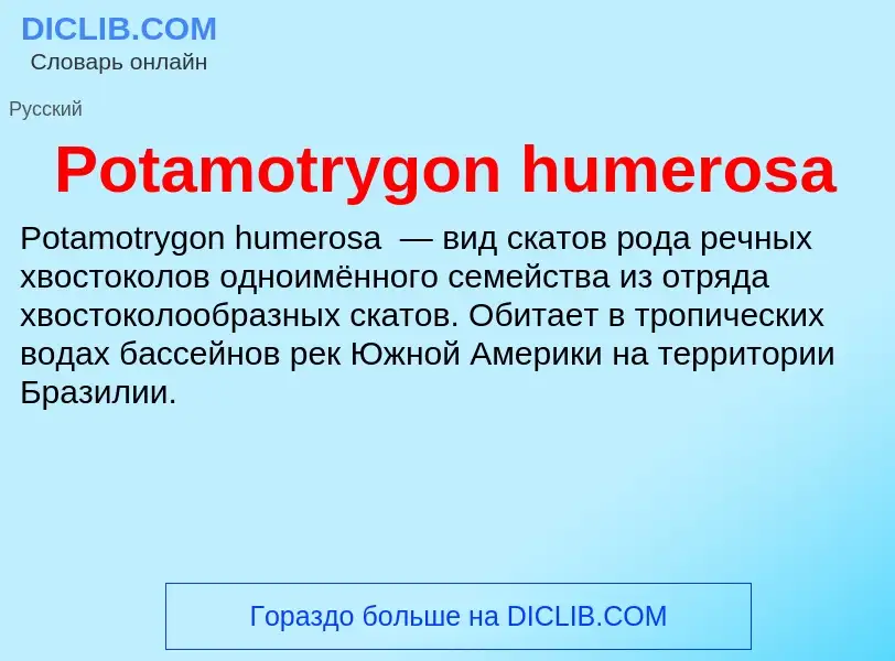 Что такое Potamotrygon humerosa - определение