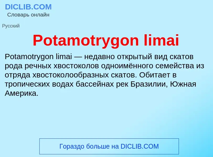 Что такое Potamotrygon limai - определение