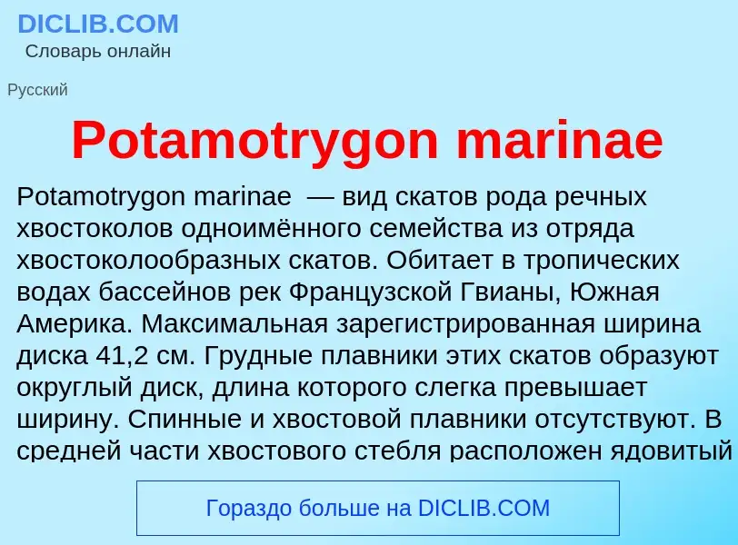 Что такое Potamotrygon marinae - определение