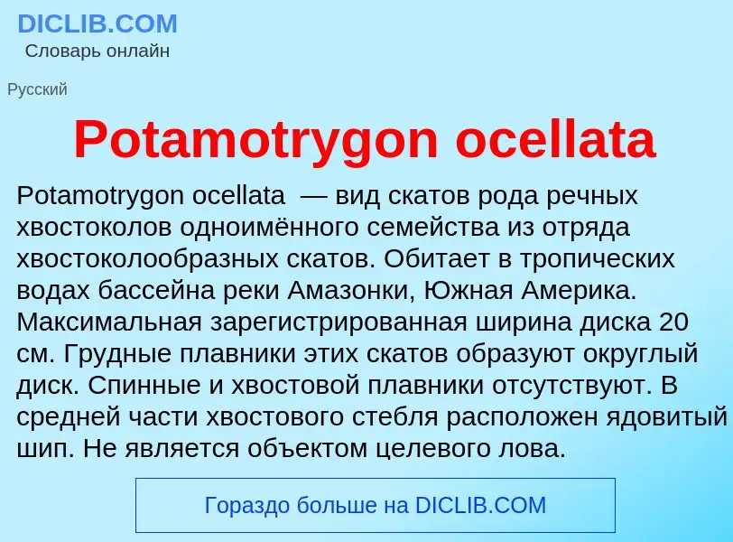 Что такое Potamotrygon ocellata - определение