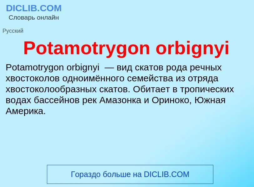 Что такое Potamotrygon orbignyi - определение