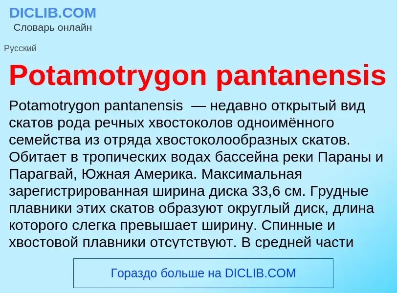 Что такое Potamotrygon pantanensis - определение