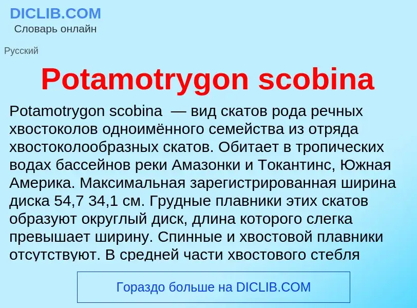 Что такое Potamotrygon scobina - определение