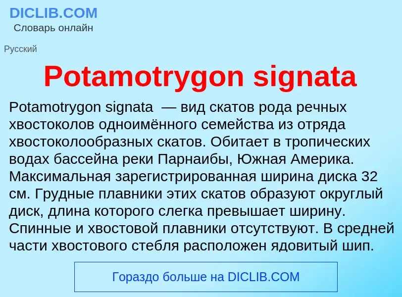 Что такое Potamotrygon signata - определение