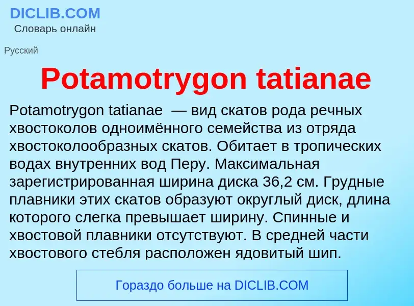 Что такое Potamotrygon tatianae - определение