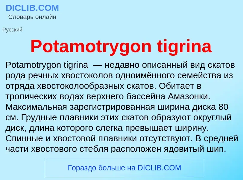 Что такое Potamotrygon tigrina - определение