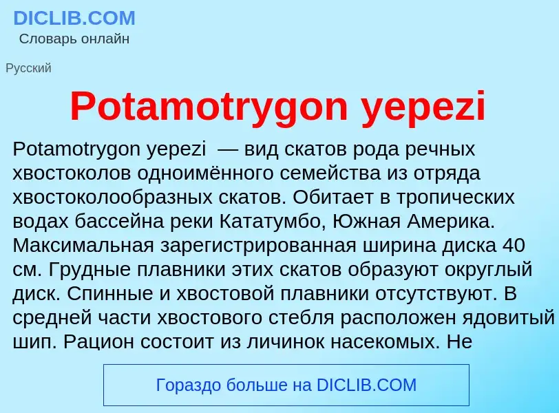 Что такое Potamotrygon yepezi - определение