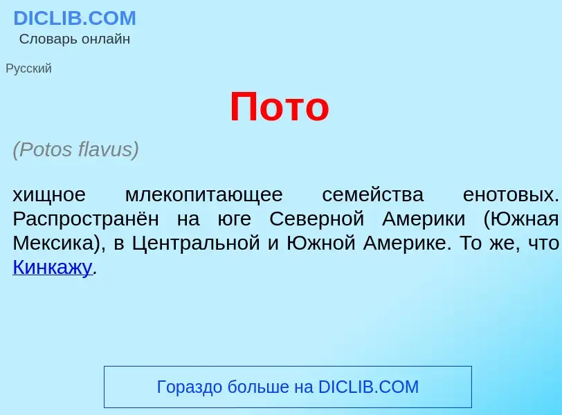 Что такое П<font color="red">о</font>то - определение