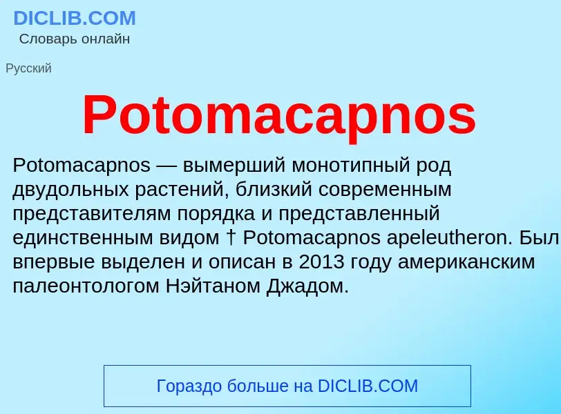 Что такое Potomacapnos - определение