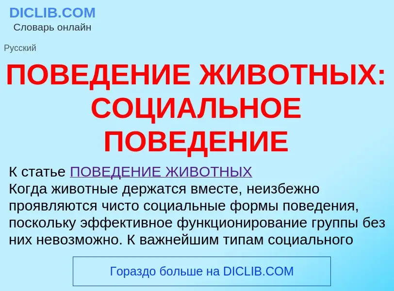 Что такое ПОВЕДЕНИЕ ЖИВОТНЫХ: СОЦИАЛЬНОЕ ПОВЕДЕНИЕ - определение