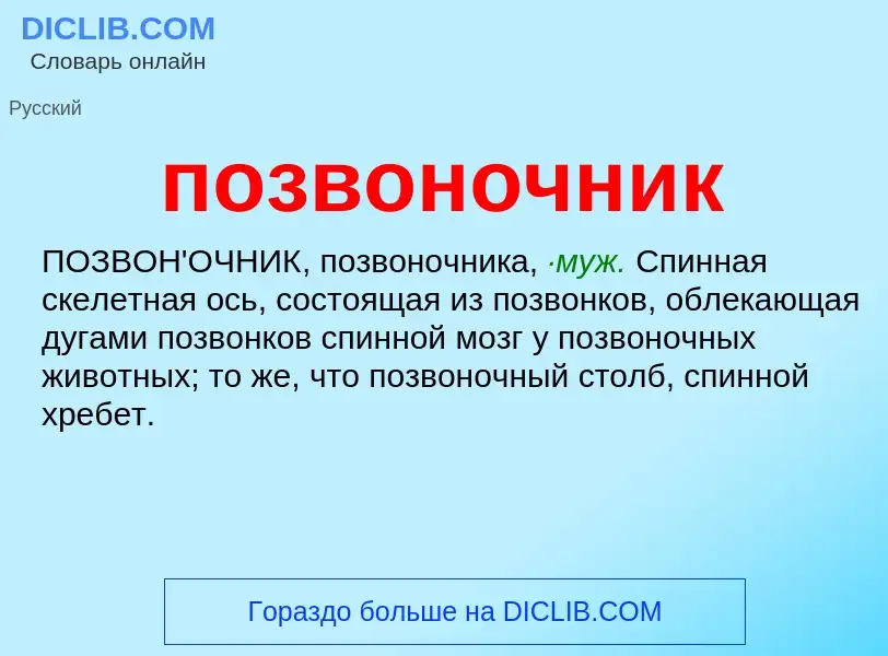 What is позвоночник - definition