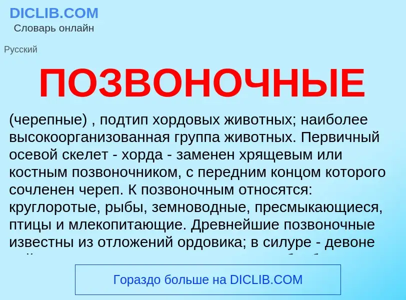 Что такое ПОЗВОНОЧНЫЕ - определение