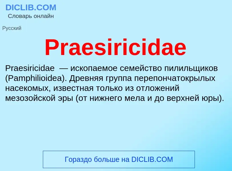 Что такое Praesiricidae - определение