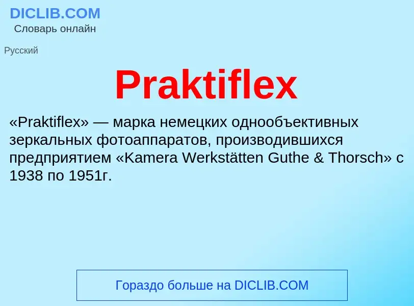 Τι είναι Praktiflex - ορισμός