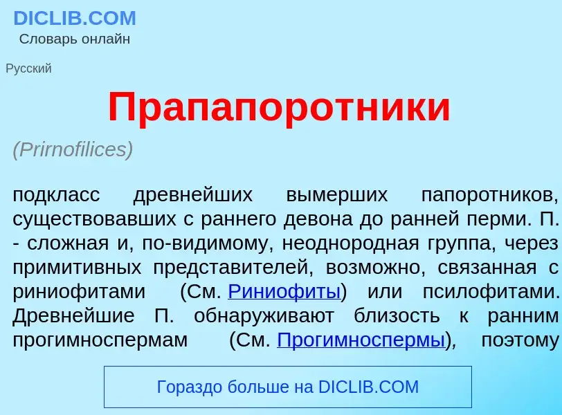 Что такое Прап<font color="red">а</font>поротники - определение