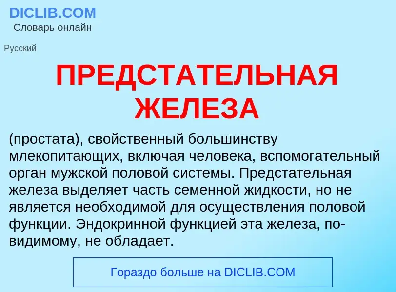 What is ПРЕДСТАТЕЛЬНАЯ ЖЕЛЕЗА - definition