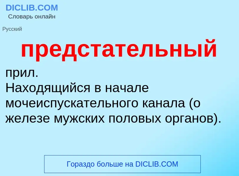 Что такое предстательный - определение