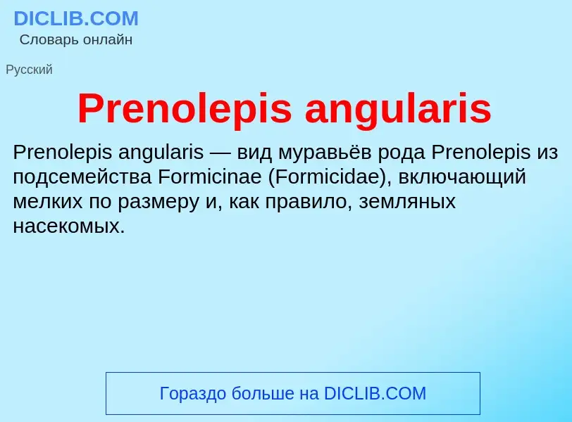 Τι είναι Prenolepis angularis - ορισμός