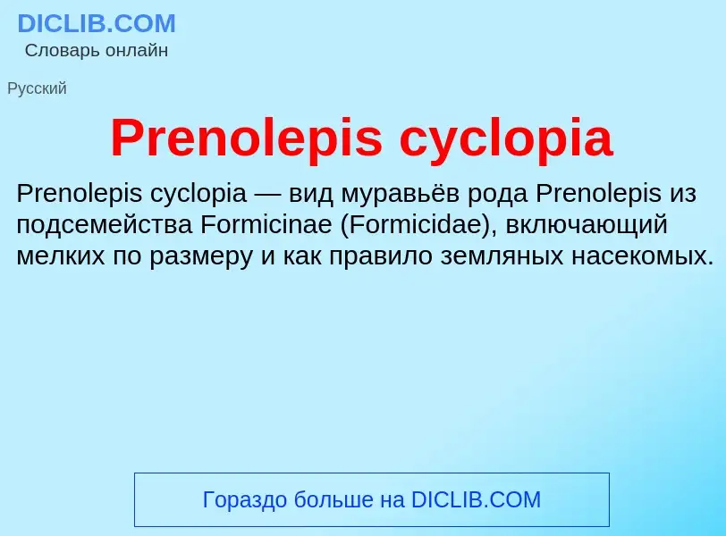 Τι είναι Prenolepis cyclopia - ορισμός