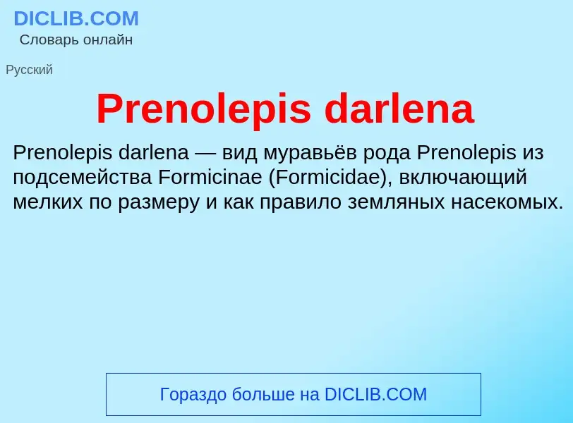 Τι είναι Prenolepis darlena - ορισμός