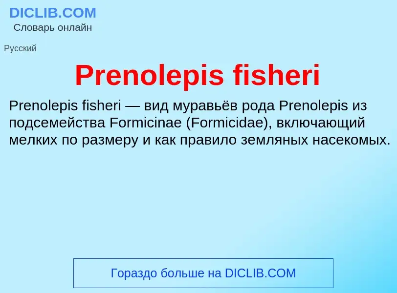 Τι είναι Prenolepis fisheri - ορισμός