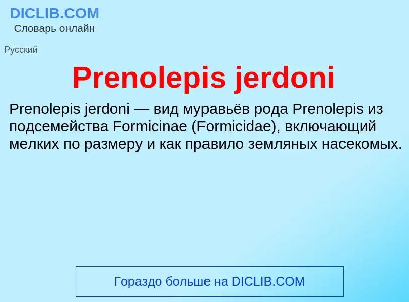 Τι είναι Prenolepis jerdoni - ορισμός