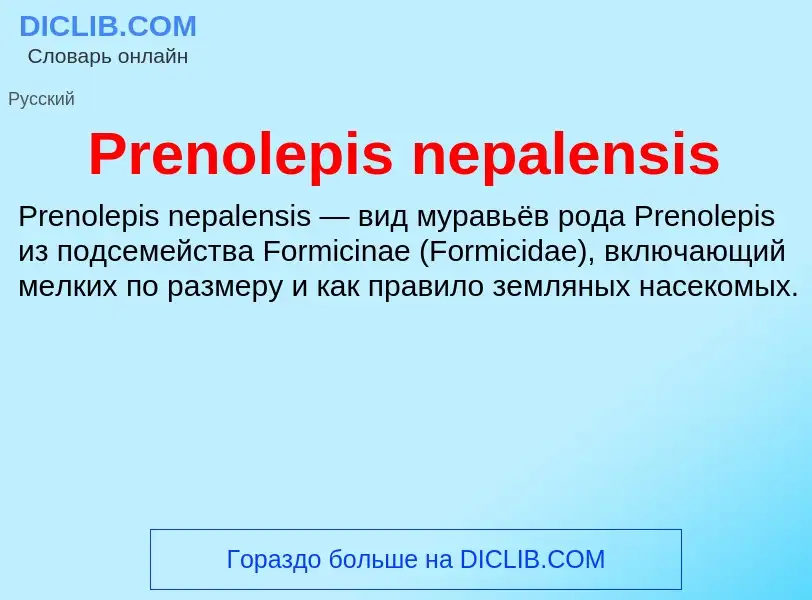 Τι είναι Prenolepis nepalensis - ορισμός