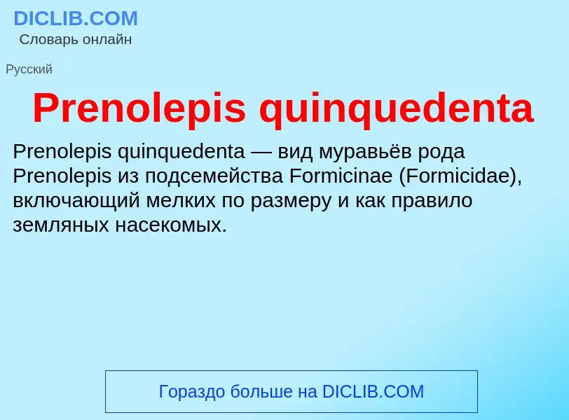 Τι είναι Prenolepis quinquedenta - ορισμός