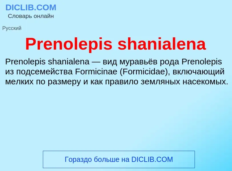 Τι είναι Prenolepis shanialena - ορισμός