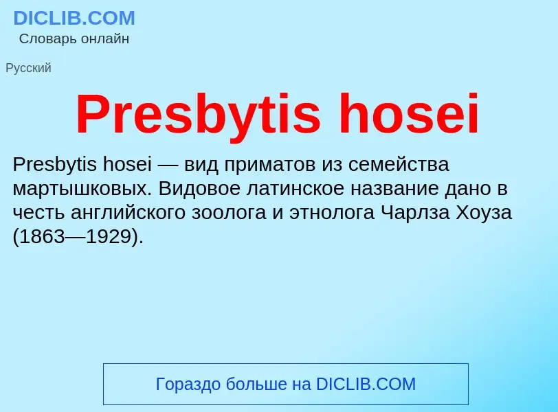 Τι είναι Presbytis hosei - ορισμός