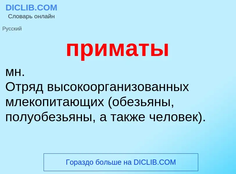 ¿Qué es приматы? - significado y definición