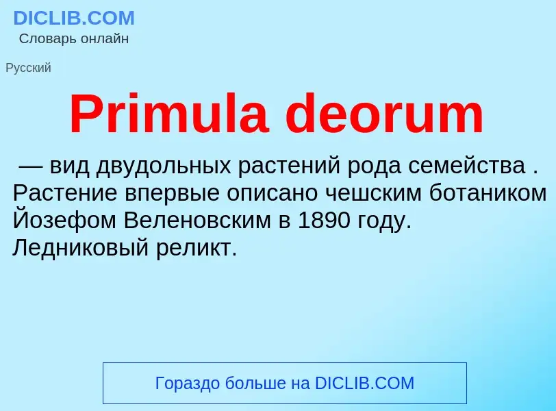 Что такое Primula deorum - определение